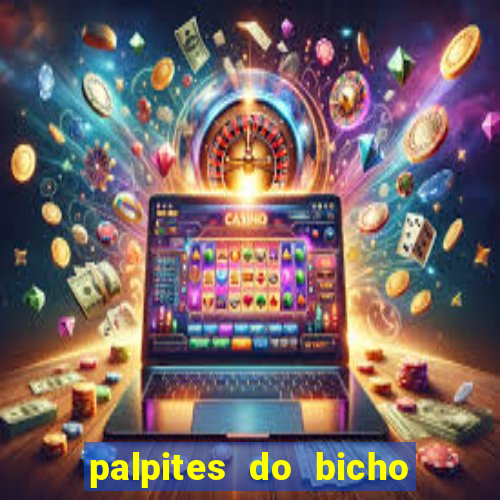 palpites do bicho no celular